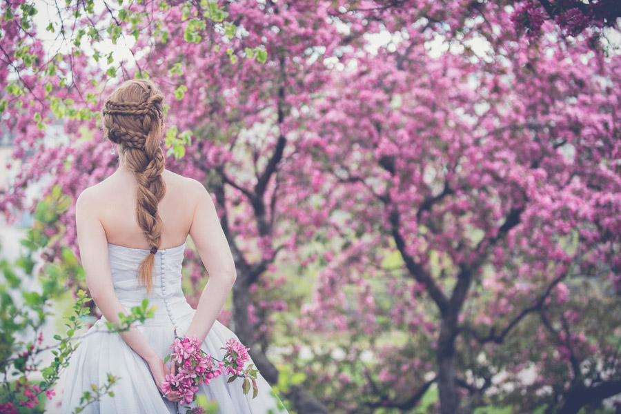 フリー写真 ピンク色の木花と花嫁の後ろ姿