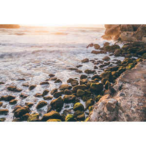 フリー写真, 風景, 海, 岩, 海岸