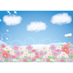フリーイラスト, ベクター画像, AI, 背景, 植物, 花, コスモス, コスモス（秋桜）, ピンク色の花, 青空, 雲, 輝き, 秋