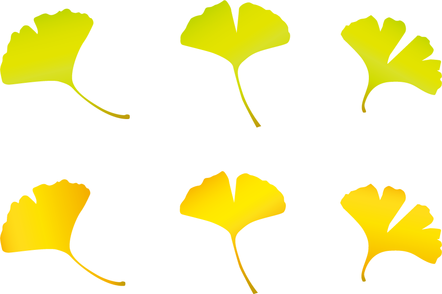 フリーイラスト 6種類のイチョウの葉のセット