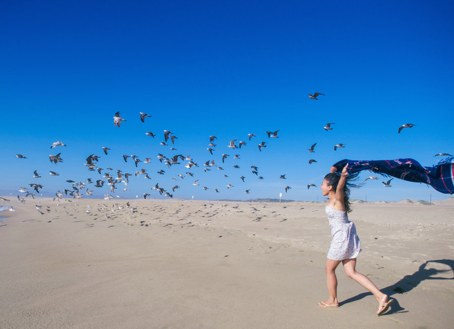 フリー写真 カモメの群れと砂浜を走る女性